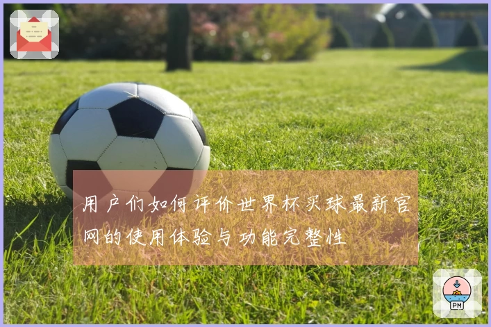 用户们如何评价世界杯买球最新官网的使用体验与功能完整性