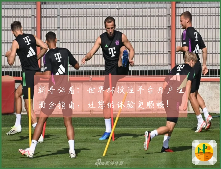 新手必看：世界杯投注平台开户注册全指南，让您的体验更顺畅！