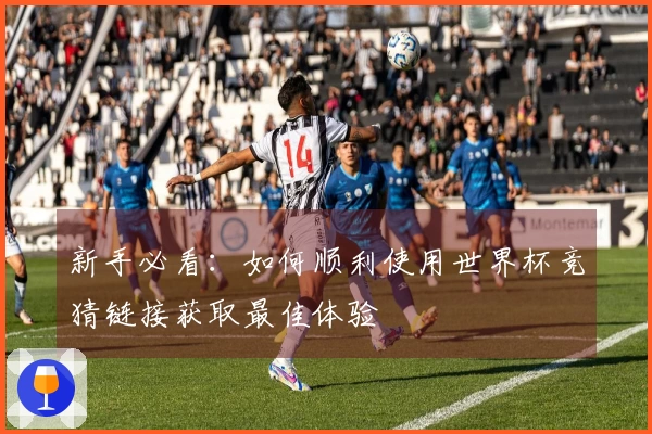 新手必看：如何顺利使用世界杯竞猜链接获取最佳体验