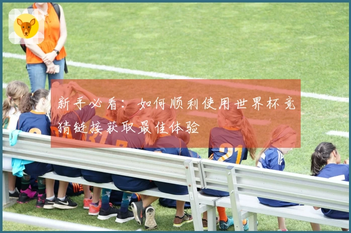 新手必看：如何顺利使用世界杯竞猜链接获取最佳体验