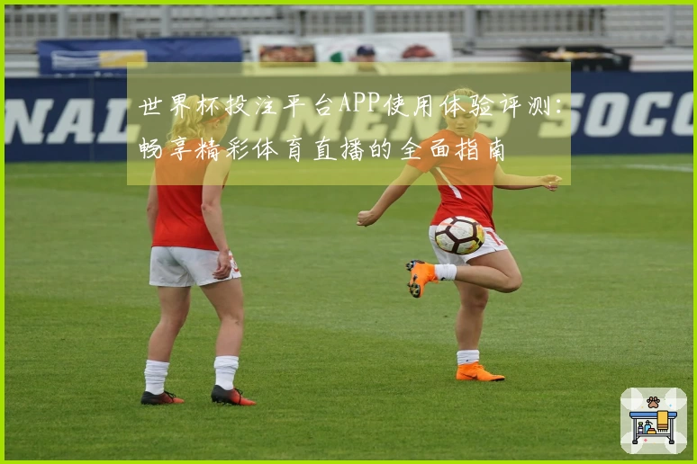 世界杯投注平台APP使用体验评测：畅享精彩体育直播的全面指南
